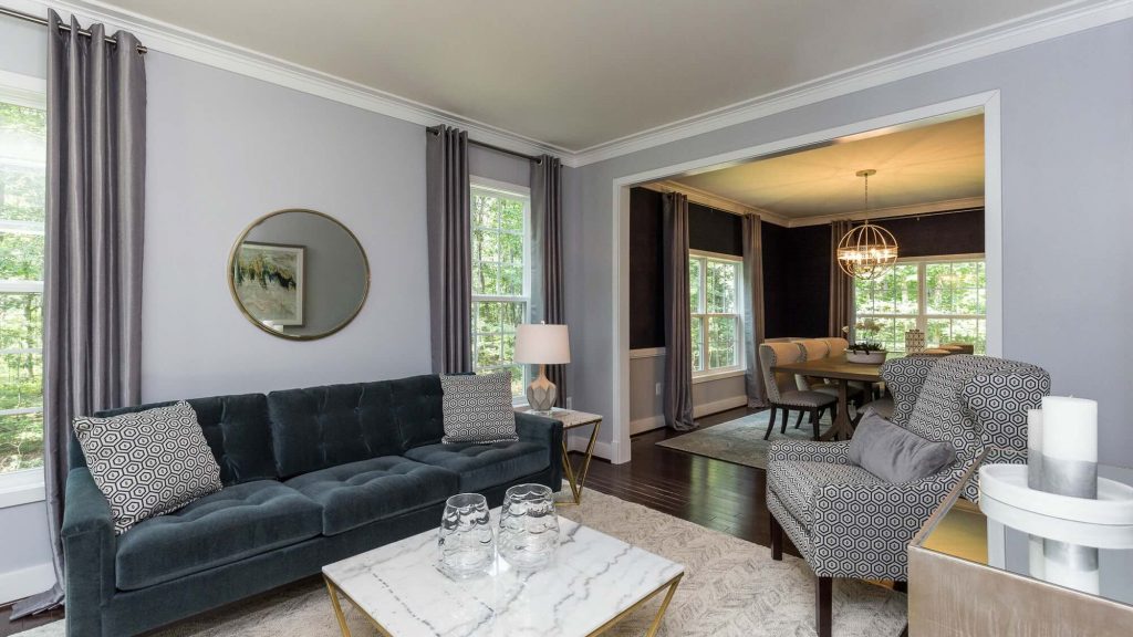 Fredericksburg, Va interior design living room as part of a residential design service from Lou & Co. Interiors